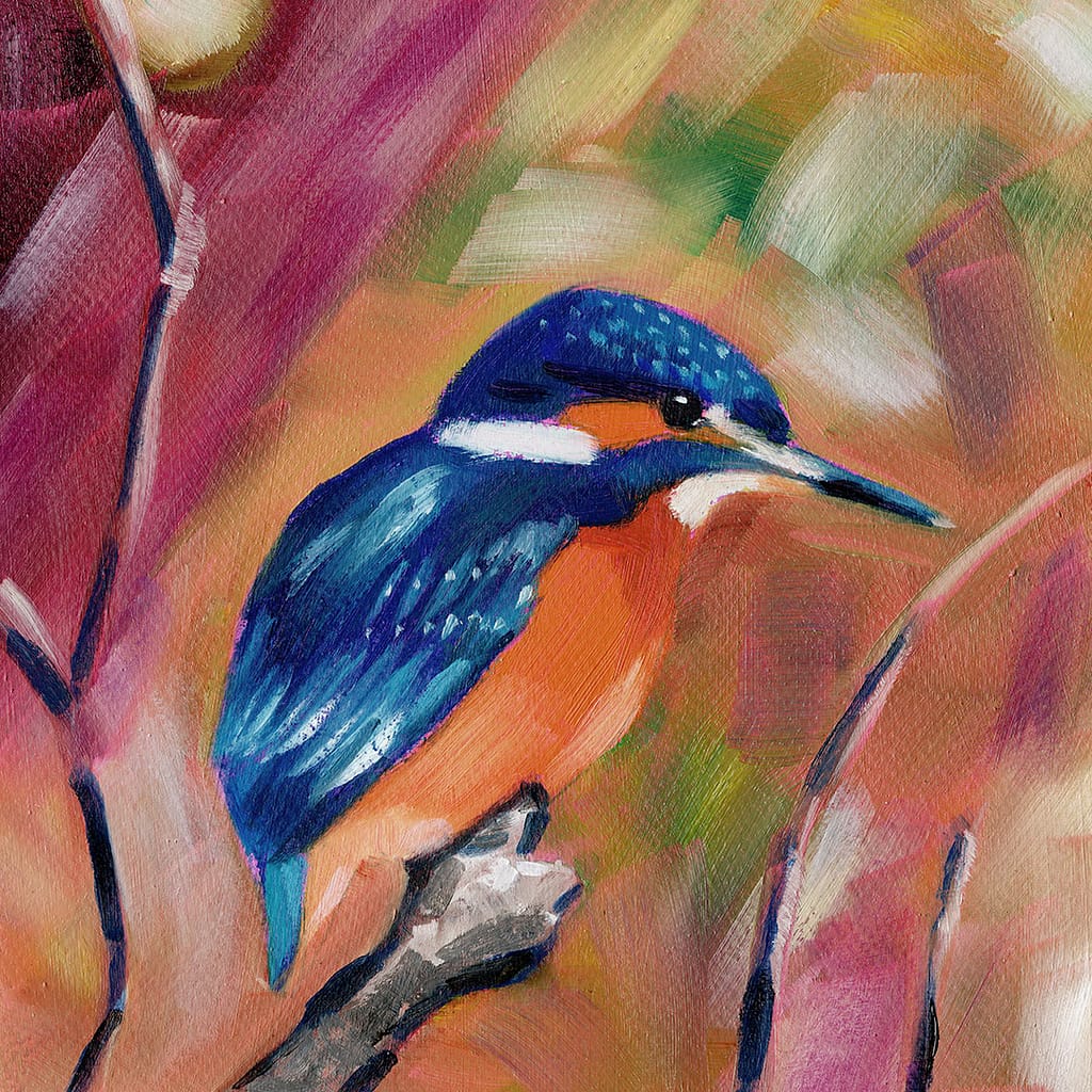 kingfisher