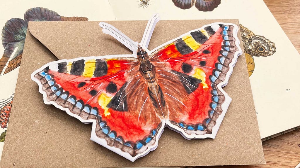 butterfly
