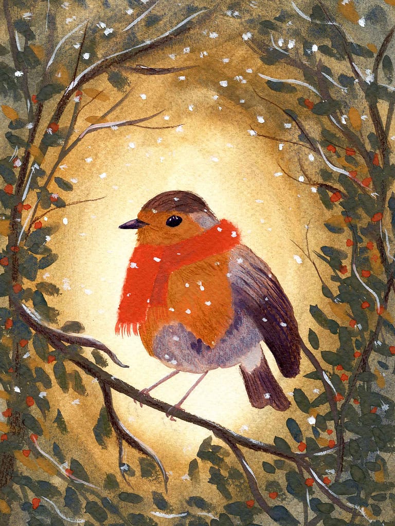 robin christmas