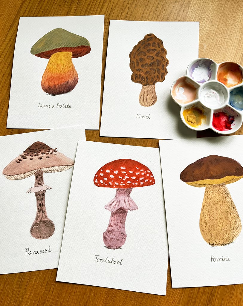 Mushroom Pack Cover Photo